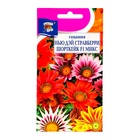 Семена цветов Гацания "Нью Дэй Стравберри Шорткейк", F1, 0,01 г - Фото 1