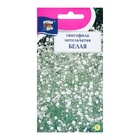 Семена цветов Гипсофила "Метельчатая", Белая, 0,1 г - Фото 1