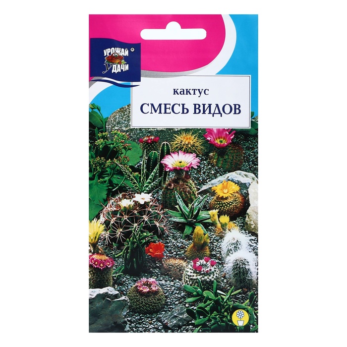 Семена цветов Кактус , Смесь видов, 0,05г - Фото 1