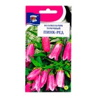 Семена цветов Колокольчик "Точечный Пинк Ред", 0,015 г - Фото 1