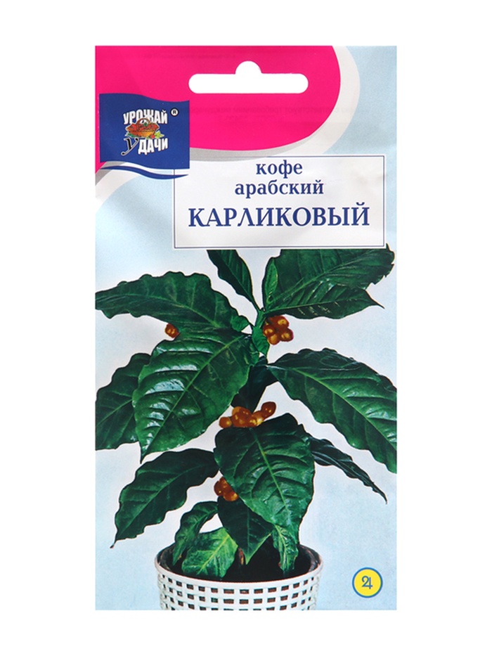 Семена цветов Кофе арабский "Карликовый", 0,8г - Фото 1