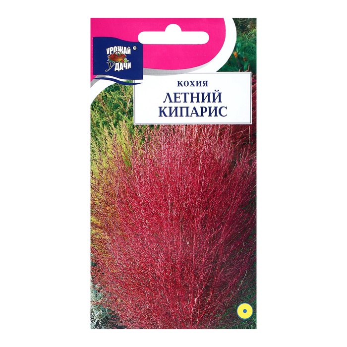 Семена цветов Кохия "Летний кипарис", 0,2г - Фото 1