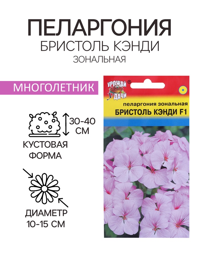 Семена цветов Пеларгония "БРИСТОЛЬ КЭНДИ", F1, 0,03 гр. - Фото 1