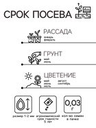 Семена цветов Пеларгония "БРИСТОЛЬ КЭНДИ", F1, 0,03 гр. - Фото 2