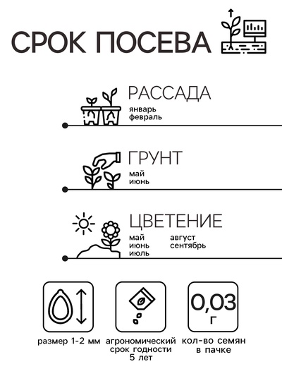 Семена цветов Пеларгония "БРИСТОЛЬ КЭНДИ", F1, 0,03 гр.