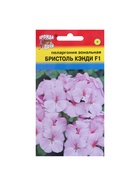 Семена цветов Пеларгония "БРИСТОЛЬ КЭНДИ", F1, 0,03 гр. 10292999 - фото 15152663