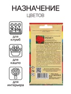 Семена цветов Пеларгония, Красная, F1, 0,02г - фото 34359735