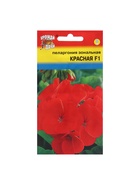 Семена цветов Пеларгония, Красная, F1, 0,02г - фото 34359737