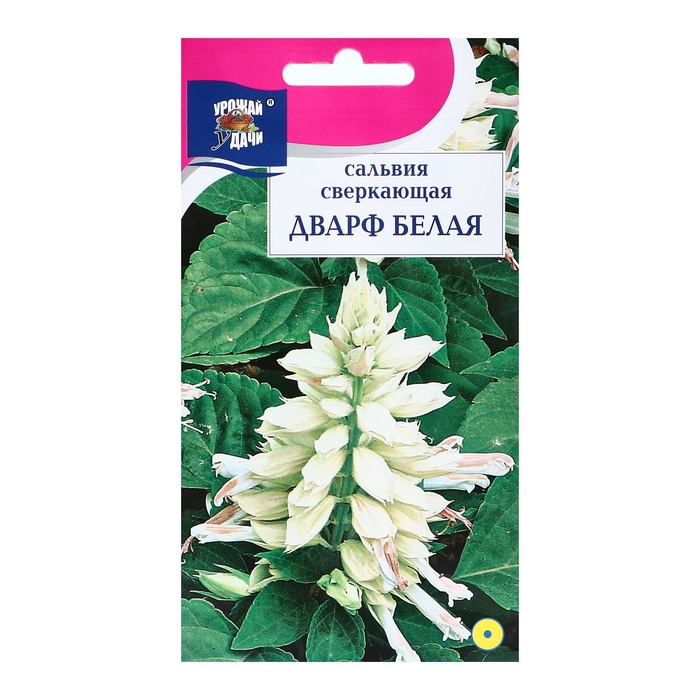 Семена цветов Сальвия "Дварф", Белая, 0,03г - Фото 1