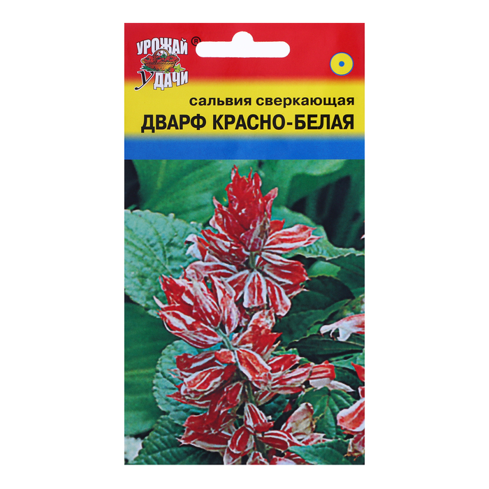 Семена цветов Сальвия "Дварф", Красно-белая, 0,03 г - Фото 1