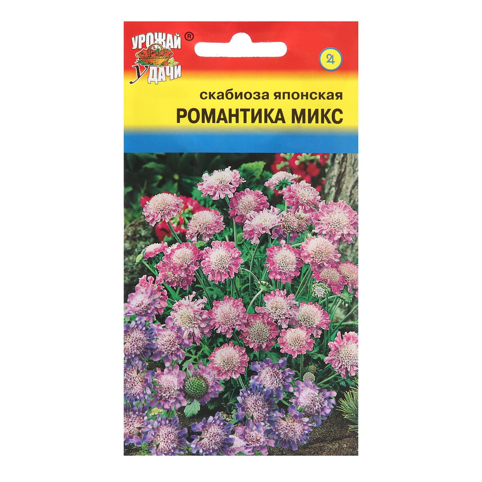 Семена цветов Скабиоза 