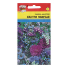 Семена цветов Кантри, Голубая, Смесь, 0,5 г - Фото 1