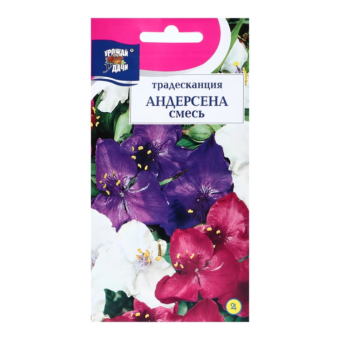 Семена цветов Традесканция Андерсена, Смесь, 0.02 г - Фото 1