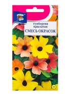 Семена цветов Тунбергия, Смесь окрасок, 0,2 г - Фото 1