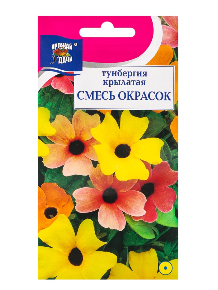 Семена цветов Тунбергия, Смесь окрасок, 0,2 г - Фото 1