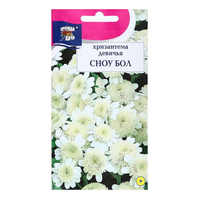 Семена цветов Хризантема девичья «Сноу Бол», 0.05 г, «УРОЖАЙ УДАЧИ» - Фото 1