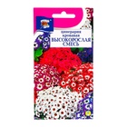 Семена цветов Цинерария высокорослая "Кровавая", Смесь, 0,01 г - Фото 1