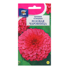 Семена цветов Цинния изящная "Розовая чаровница", 0,3 г - фото 320971106