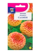 Семена цветов Цинния "Лиллипут Салмон", 0,3 г - Фото 1