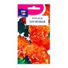 Семена цветов Шток-роза "Лососевая", 0,1 г - Фото 1