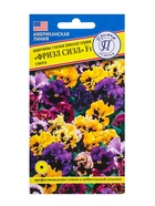 Семена цветов Анютины глазки витторка «Фризл Сизл», смесь, 5 шт., «Престиж семена» - Фото 3
