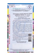 Семена цветов Анютины глазки витторка "Фризл Сизл", Смесь, 5 шт - Фото 4