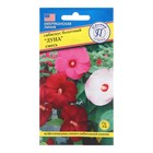 Семена цветов Гибискус болотный «Луна», Смесь, 3 шт., «Престиж семена» - Фото 1