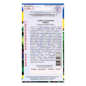 Семена цветов Кобея лазающая "Микс", 5 шт