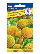 Семена цветов Краспедия шаровидная "Билли Батон", 10 шт 10296571 - фото 14427292