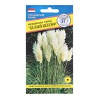 Семена цветов Пампасная трава "Белый шлейф", 0,1 гр - фото 320971252