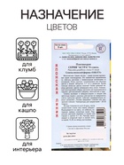 Семена цветов Платикодон «Астра», Смесь, F1, 5 шт., «Престиж семена» - Фото 3