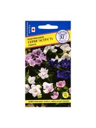 Семена цветов Платикодон «Астра», Смесь, F1, 5 шт., «Престиж семена» - Фото 5