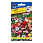 Семена цветов Смесь сухоцветов, 0,1 гр - Фото 1