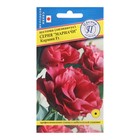 Семена цветов Эустома "Мариачи Мисти Кармин", F1, драже, 3шт - Фото 1