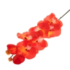 цветы искусственные орхидея 70 см d-9 см оранжевый - Фото 1
