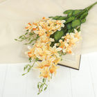 цветы искусственные ветка орхидеи 75 см d-7 см желтый - Фото 1