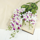 цветы искусственные ветка орхидеи 75 см d-7 см бело фиолетовый - Фото 1