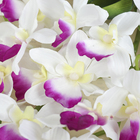 цветы искусственные ветка орхидеи 75 см d-7 см бело фиолетовый - Фото 2