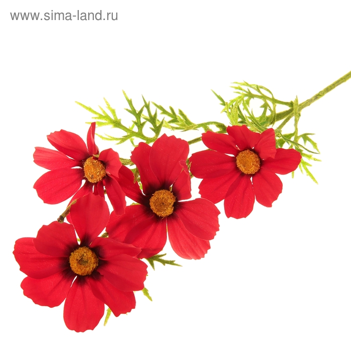 цветы искусственные космея 80 см красный - Фото 1