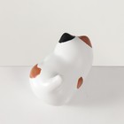 Сувенир полистоун "Любопытный котик" 6х3,8х5 см - Фото 4