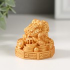 Нэцкэ фигурка полистоун под золото «Жаба на монетках и пьедестале с символами», 4.2×4.4×4.1 см - Фото 3