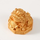 Нэцкэ фигурка полистоун под золото «Жаба на монетках и пьедестале с символами», 4.2×4.4×4.1 см - Фото 5