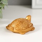 Нэцкэ фигурка полистоун под золото «Черепаха с символами на панцире», 6.4×5.5×2.2 см - Фото 3