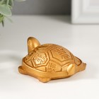 Нэцкэ полистоун под золото "Черепаха с символами на панцире" 6,4х5,5х2,2 см - Фото 4