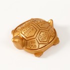 Нэцкэ полистоун под золото "Черепаха с символами на панцире" 6,4х5,5х2,2 см - Фото 5