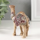 Фигурка полистоун «Пустынный верблюд с попоной», 3.5×8×8.7 см - Фото 3