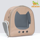 Рюкзак для переноски "Котик", прозрачный, 32 х 21 х 35 см, бежевый - фото 320972587