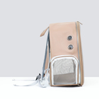 Рюкзак для переноски "Котик", прозрачный, 32 х 21 х 35 см, бежевый - Фото 3