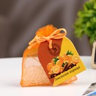 Аромагорошины в подарочном пакете, 10 гр, апельсин и корица - фото 3154944
