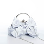 Сумка-клатч на фермуаре, цвет серебряный - фото 23595160